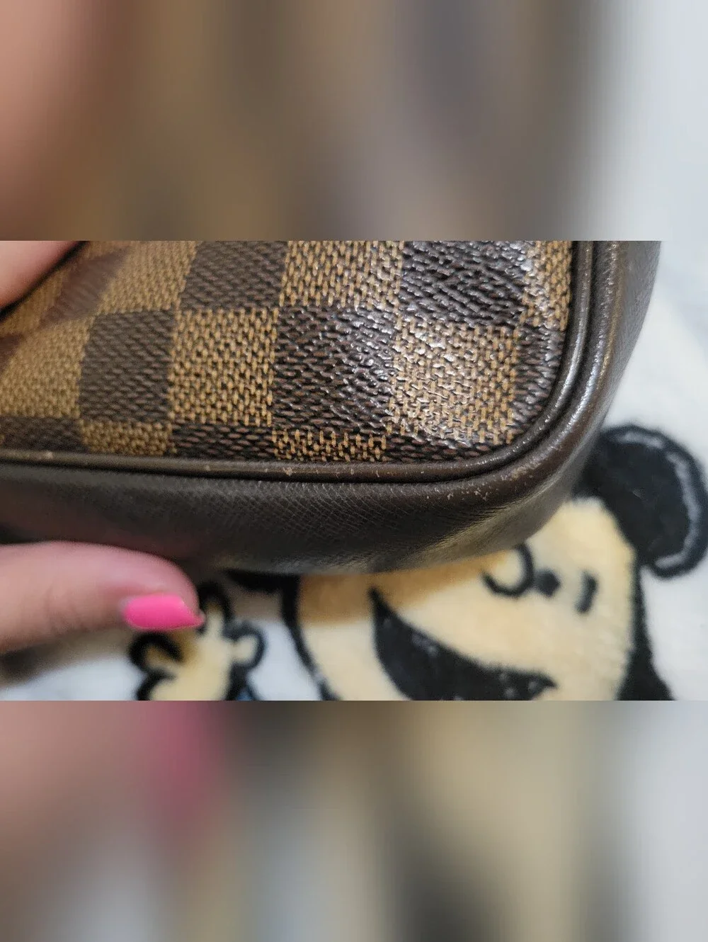 Louis Vuitton trousse pouch